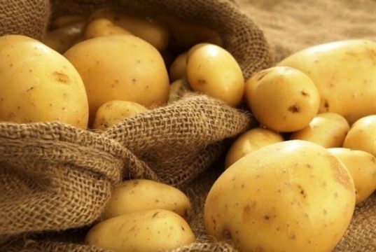 اختلاف ۲ برابری قیمت سیب زمینی