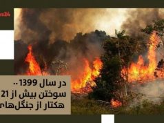 جنگل‌های ایران