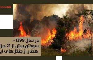 در سال ۱۳۹۹.. سوختن بیش از ۲۱ هزار هکتار از جنگلهای ایران جنگلهای ایران