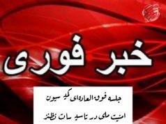 امنیت ملی