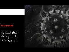 شیوع قارچ سیاه