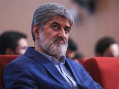 نماینده مجلس
