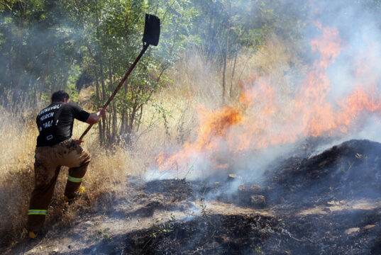 پارک جنگلی آبیدر