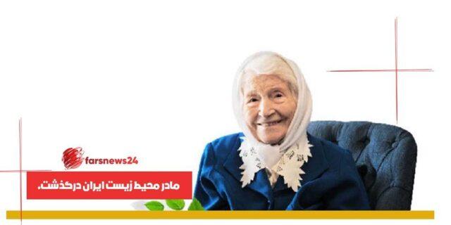 محیط زیست