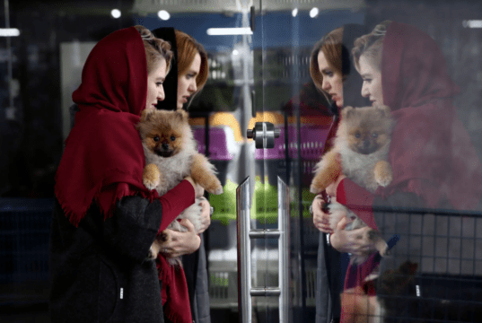 حیوانات خانگی