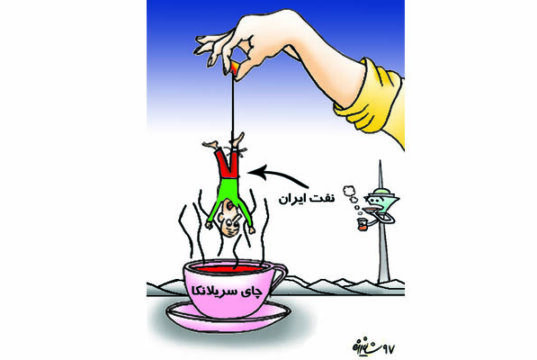 نفت