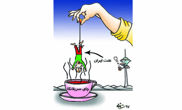 نفت