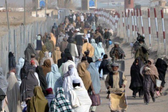 زندگی پناهجویان