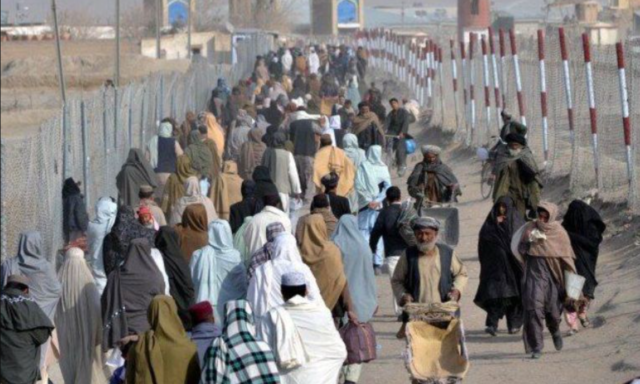 زندگی پناهجویان