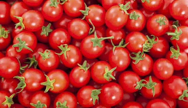 گوجه فرنگی گوجه فرنگی