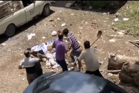 ضرب‌وشتم پاکبان