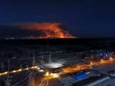 جزييات خطر تشعشع و آتش‌سوزی یک رآکتور در زاپوریژیا