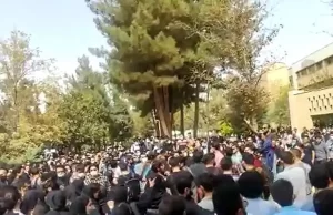 اِنسیه عرفانی: دیگر نمی‌توانستم برای یک دیکتاتوری وحشی کار کنم