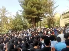 اِنسیه عرفانی: دیگر نمی‌توانستم برای یک دیکتاتوری وحشی کار کنم