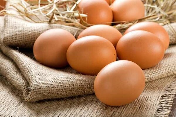 افزایش ۵۰ درصدی قیمت تخم مرغ