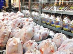 گزارش اعتماد: مبادله کالابه‌کالا برای خرید گوشت مرغ!