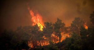 فاجعه آتش‌سوزی در یونان: هزاران نفر از جزیره رودس تخلیه شدند