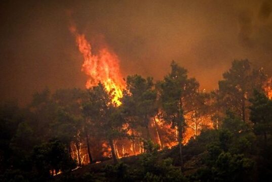 فاجعه آتش‌سوزی در یونان: هزاران نفر از جزیره رودس تخلیه شدند