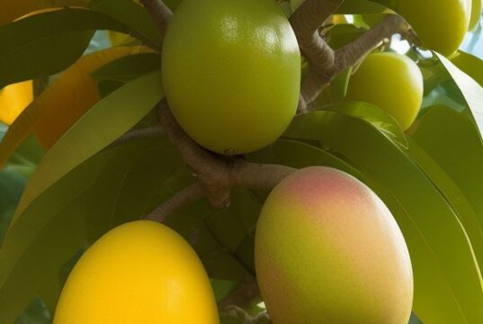 فواید انبه برای سلامتی: از مو تا معده