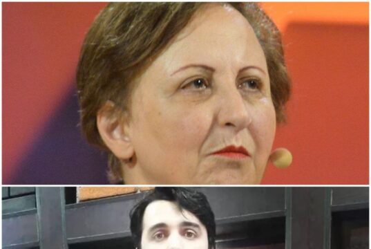 واکنش شیرین عبادی به مرگ مشکوک جواد روحی چیست؟