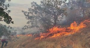آتش‌سوزی در جنگل‌های گیلان و مازندران