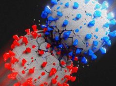 تفاوت آنفلوانزای فصلی و کرونا: مقایسه اعراض، انتقال، و پیشگیری