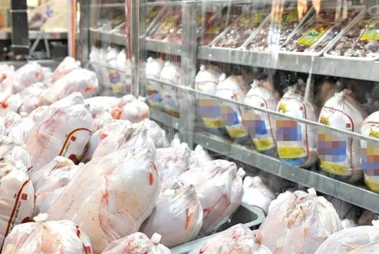 قیمت مرغ در بازار از ۱۰۰ هزار تومان عبور کرد