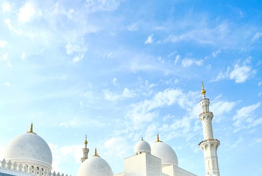 از مسجد شیخ زاید آشنا شوید!