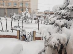 بارش سنگین برف در اربیل، استان اردبیل را در بر گرفت