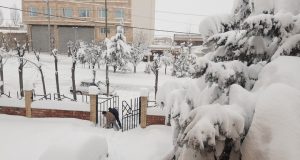 بارش سنگین برف در اربیل، استان اردبیل را در بر گرفت