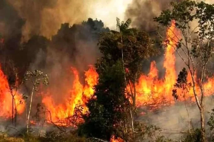 آتش‌سوزی وسیع در قلب جنگل‌های هیرکانی مازندران: یک تهدید جدی به ثبات اکوسیستم‌های ملی