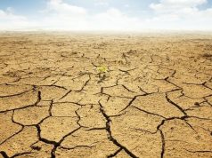 رییس مرکز ملی اقلیم اعلام کرد که ایران در چهارمین سال خشکسالی است
