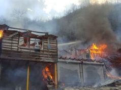 حادثه آتش‌سوزی گسترده در منطقه چوبی شهرک «امام‌زاده ابراهیم»